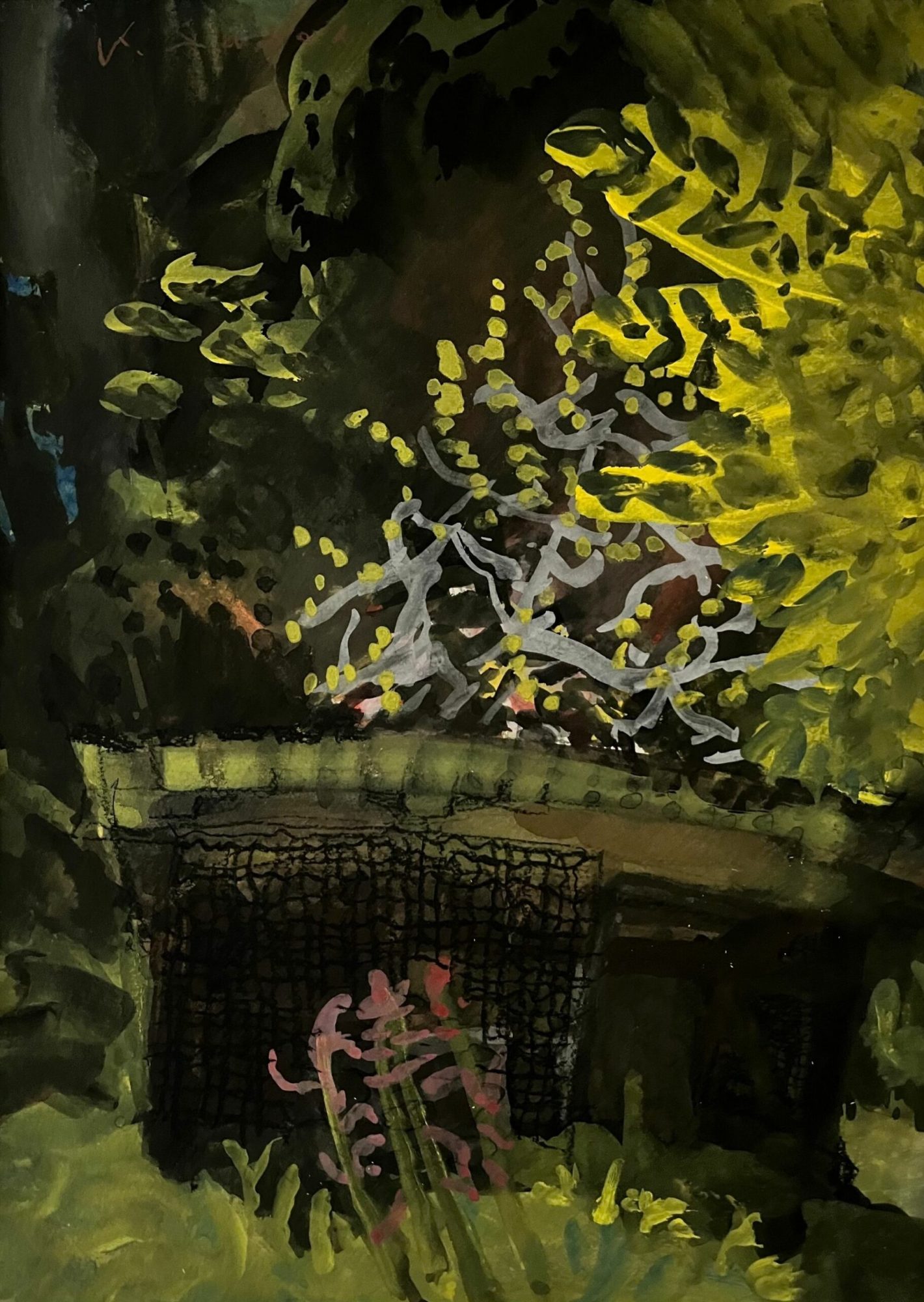 Abandoned chicken-house 24,2 x 33,4